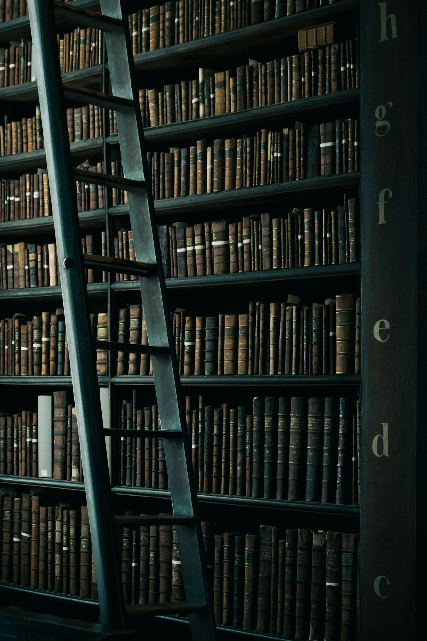 How To Stay Motivated While Learning